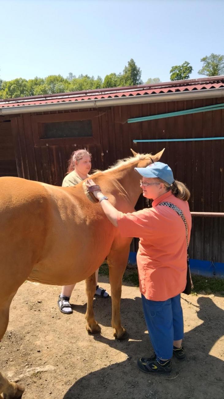 Spolupráce 7.C s klienty DTS Jihlava