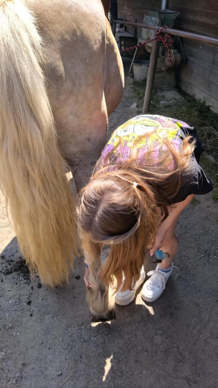 Spolupráce 7.C s klienty DTS Jihlava