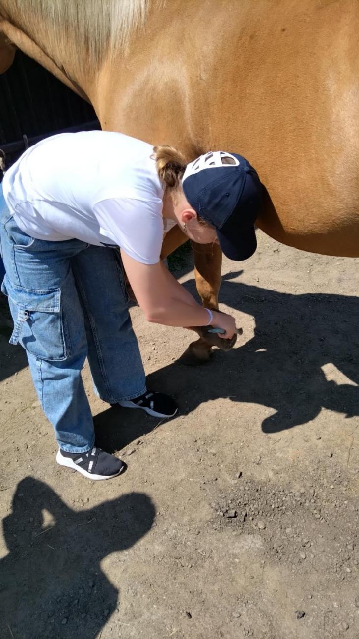 Spolupráce 7.C s klienty DTS Jihlava