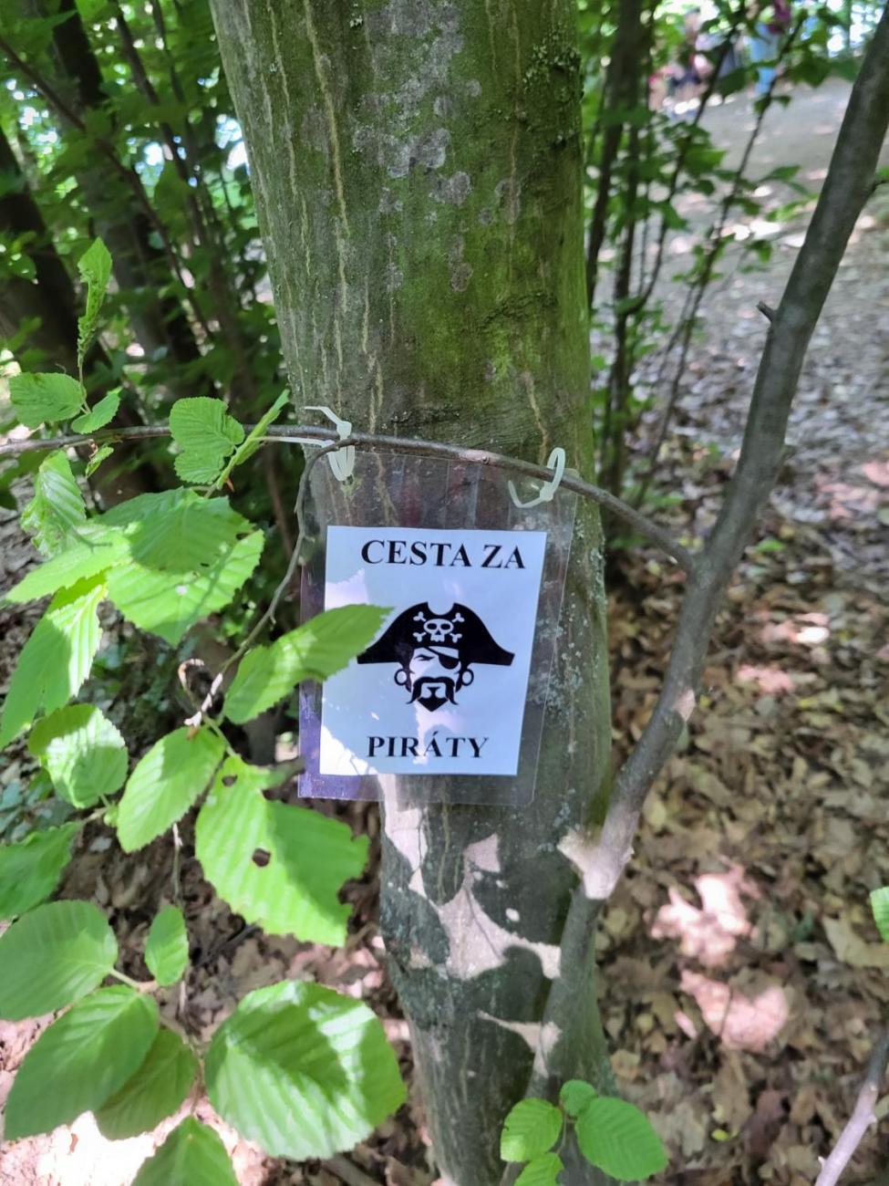 Výlet 3.C - Dalešická přehrada