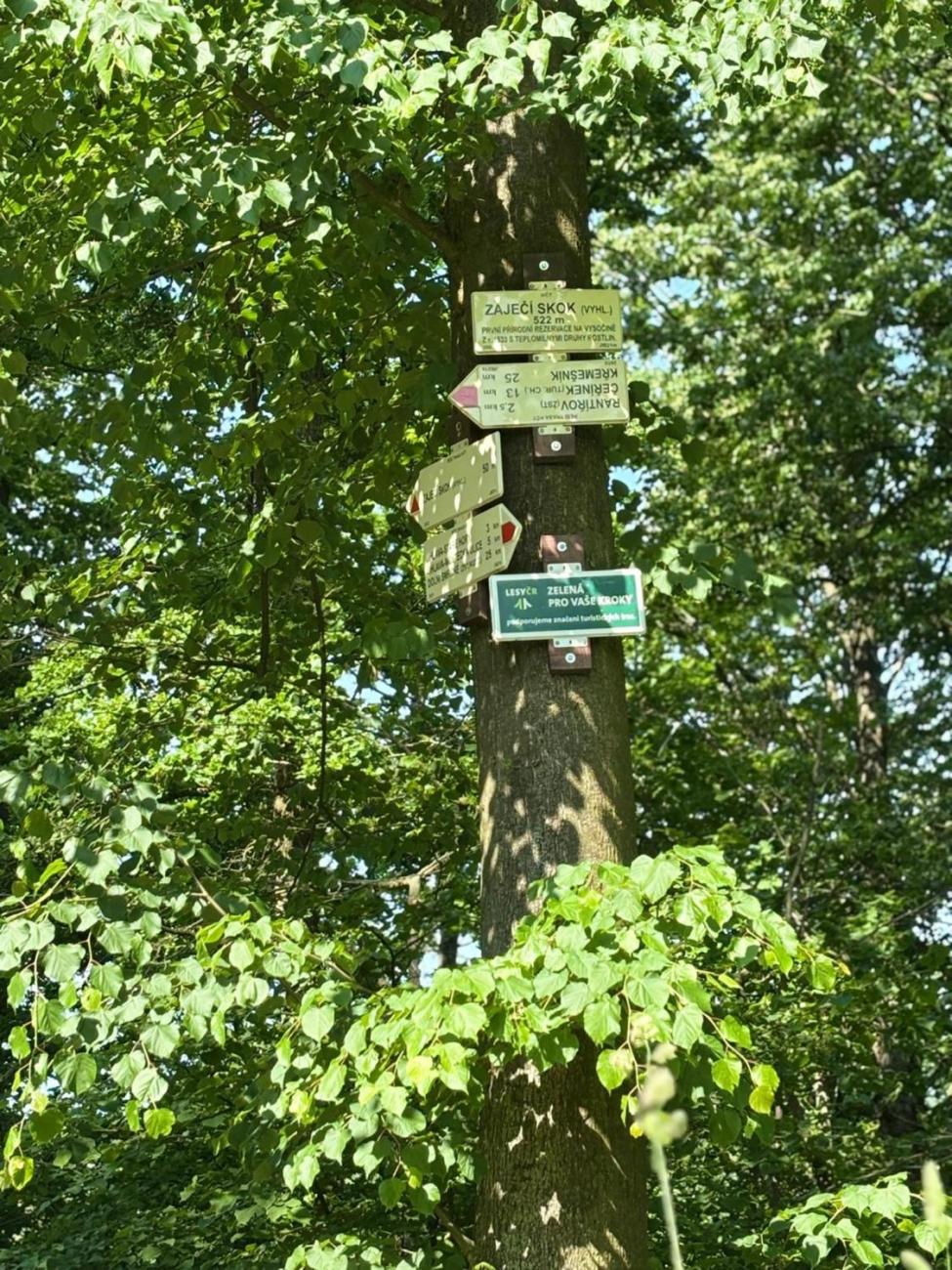 Školní výlet na Zaječí skok 1.B