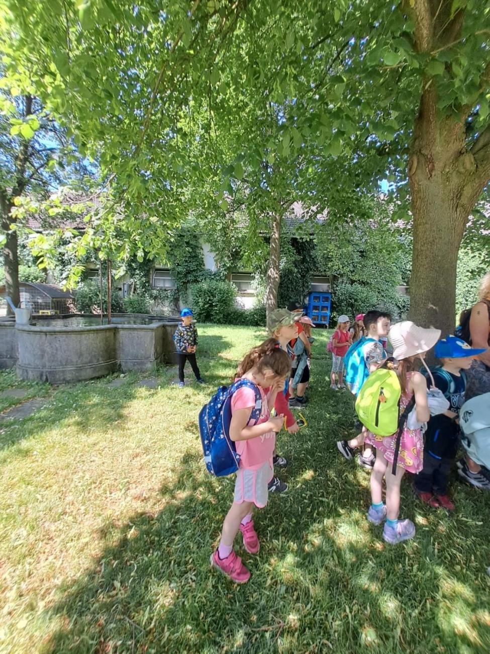 Výlet na Zaječí skok a na statek do Rantířova  1.C