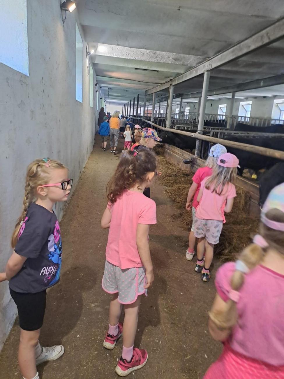 Výlet na Zaječí skok a na statek do Rantířova  1.C