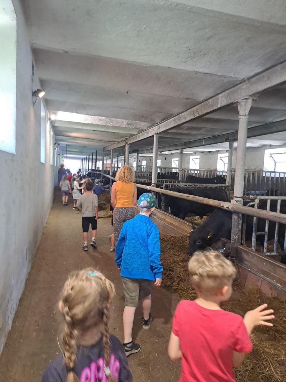 Výlet na Zaječí skok a na statek do Rantířova  1.C