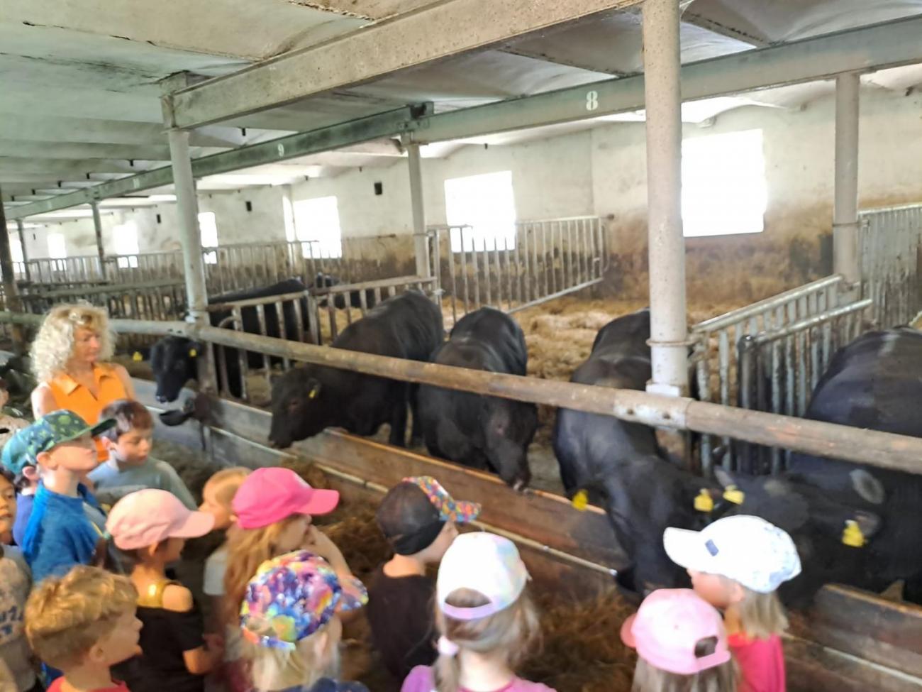 Výlet na Zaječí skok a na statek do Rantířova  1.C