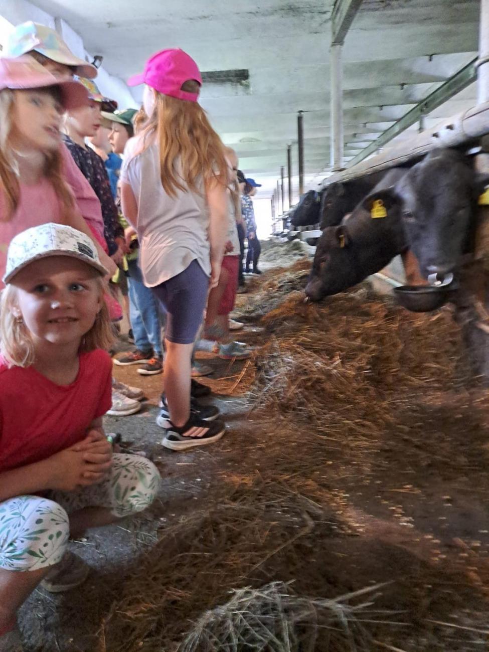 Výlet na Zaječí skok a na statek do Rantířova  1.C