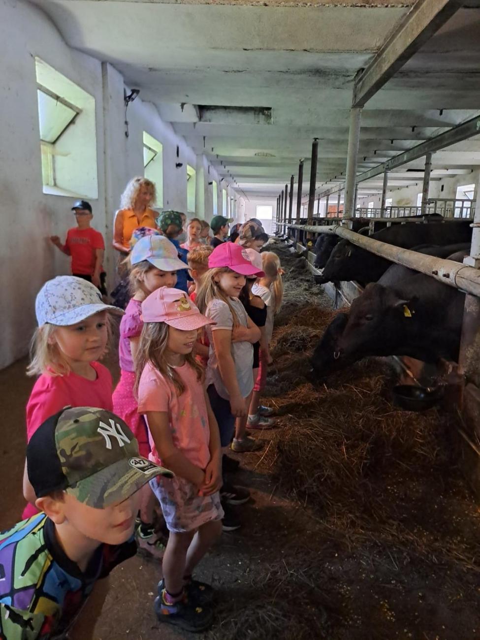 Výlet na Zaječí skok a na statek do Rantířova  1.C