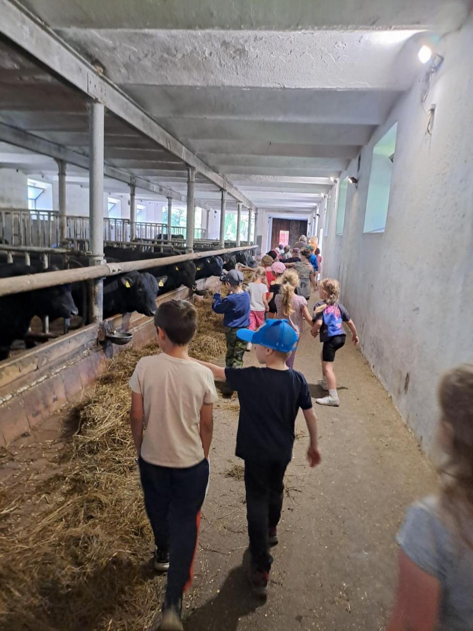 Výlet na Zaječí skok a na statek do Rantířova  1.C