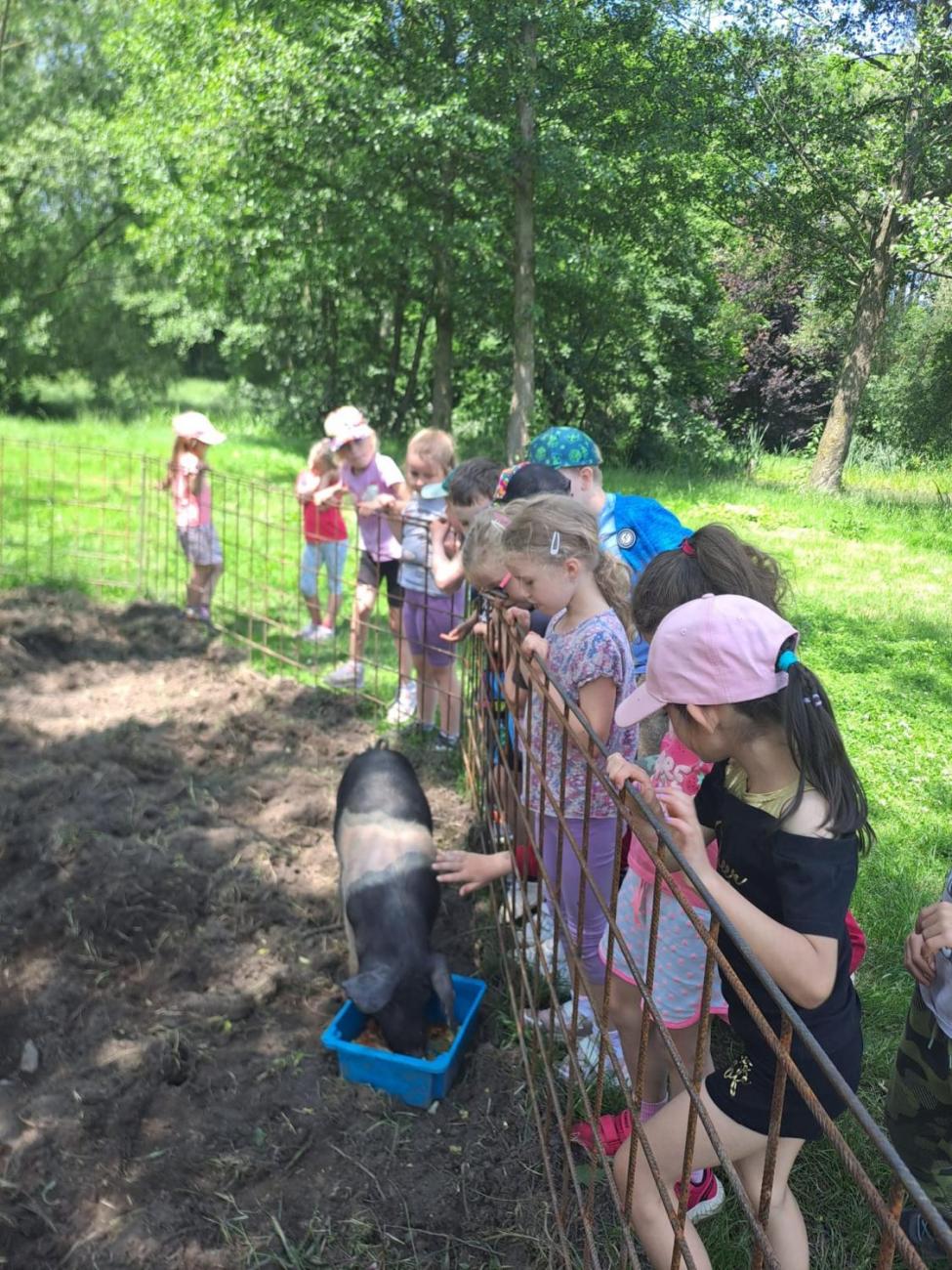 Výlet na Zaječí skok a na statek do Rantířova  1.C