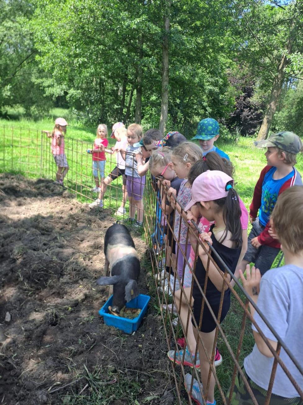 Výlet na Zaječí skok a na statek do Rantířova  1.C