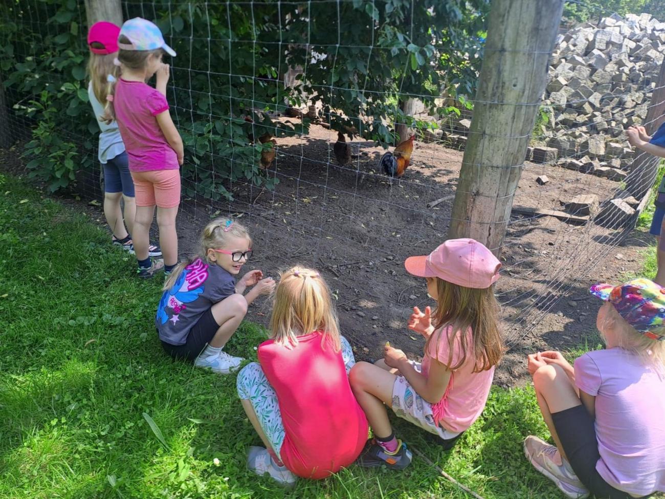 Výlet na Zaječí skok a na statek do Rantířova  1.C