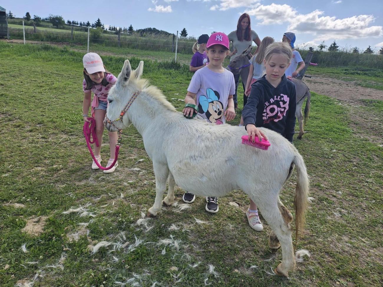 Farma sv. Florian  2.B