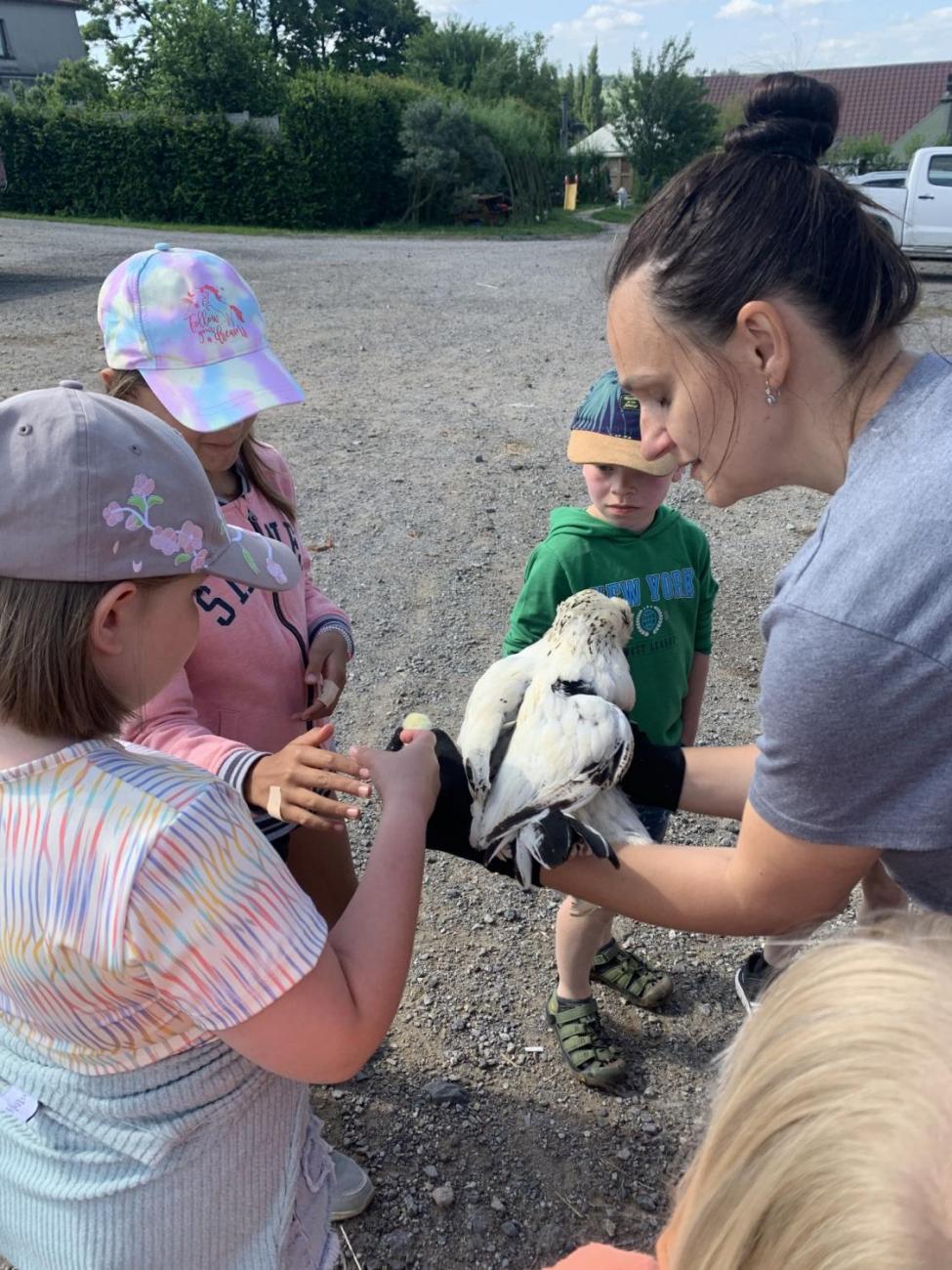 Farma sv. Florian  2.B