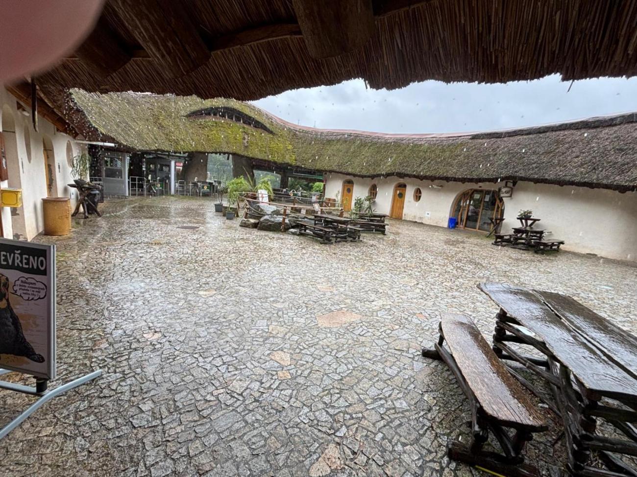 1.B - Návštěva zoologické zahrady s deváťáky