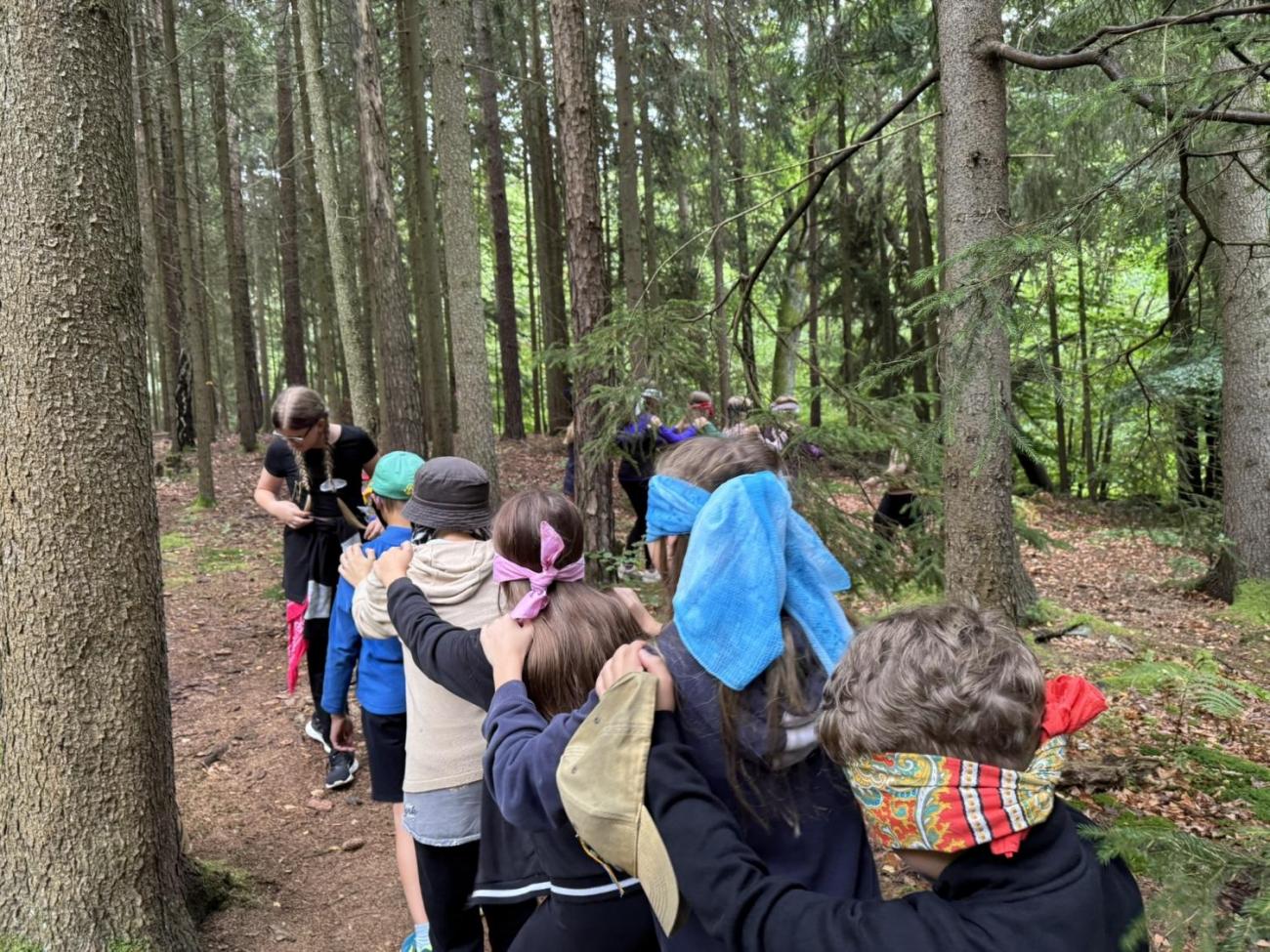 Šesťáci v Zálesí