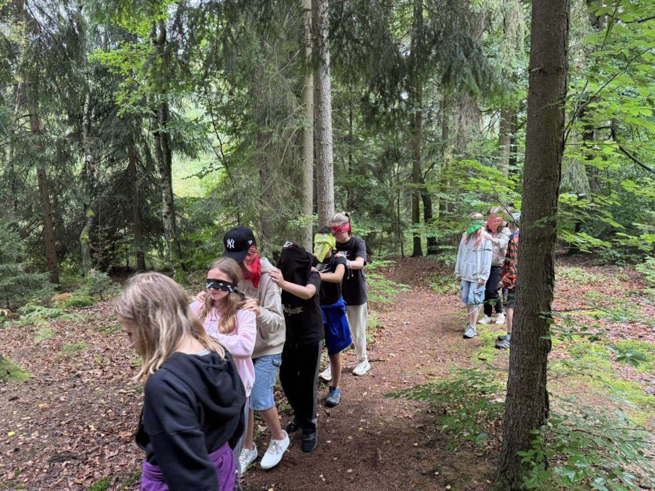 Šesťáci v Zálesí