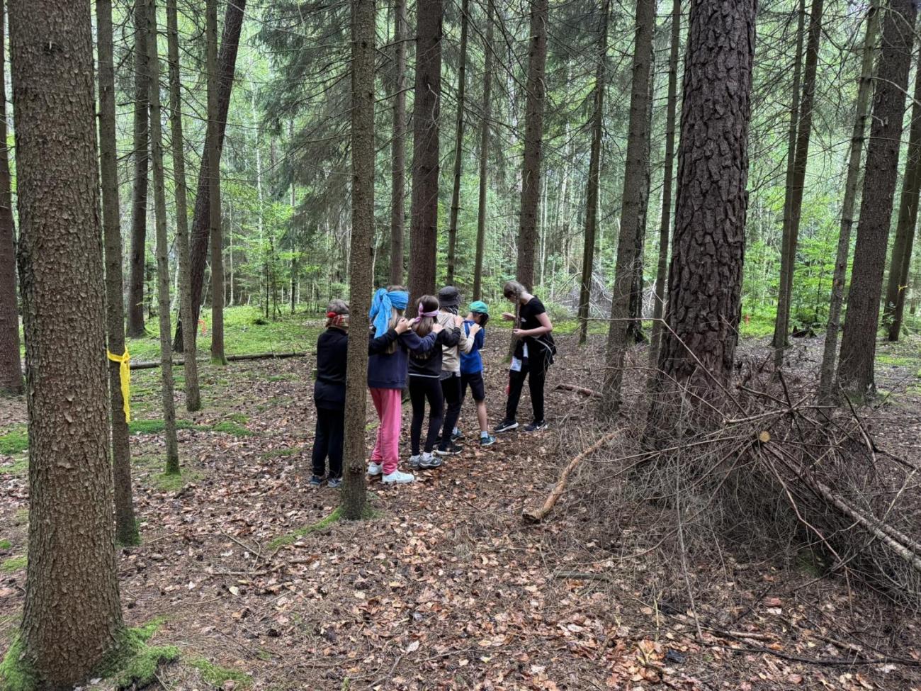 Šesťáci v Zálesí