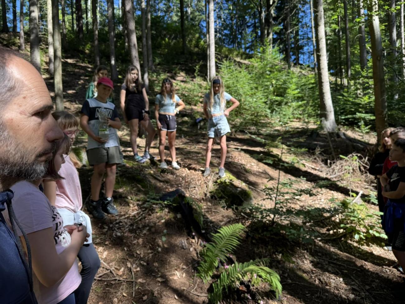 Šesťáci v Zálesí