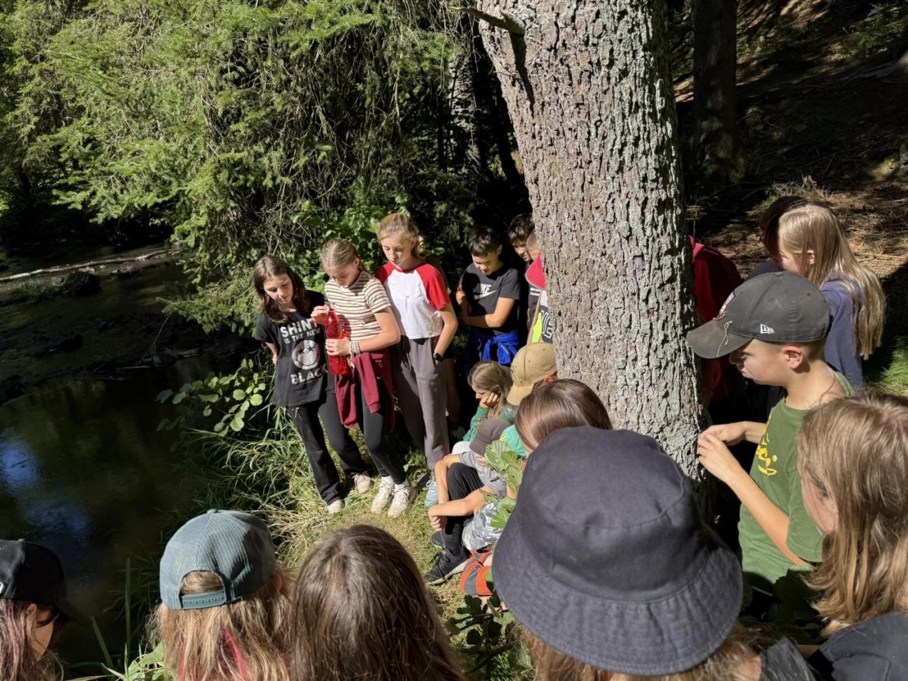 Šesťáci v Zálesí