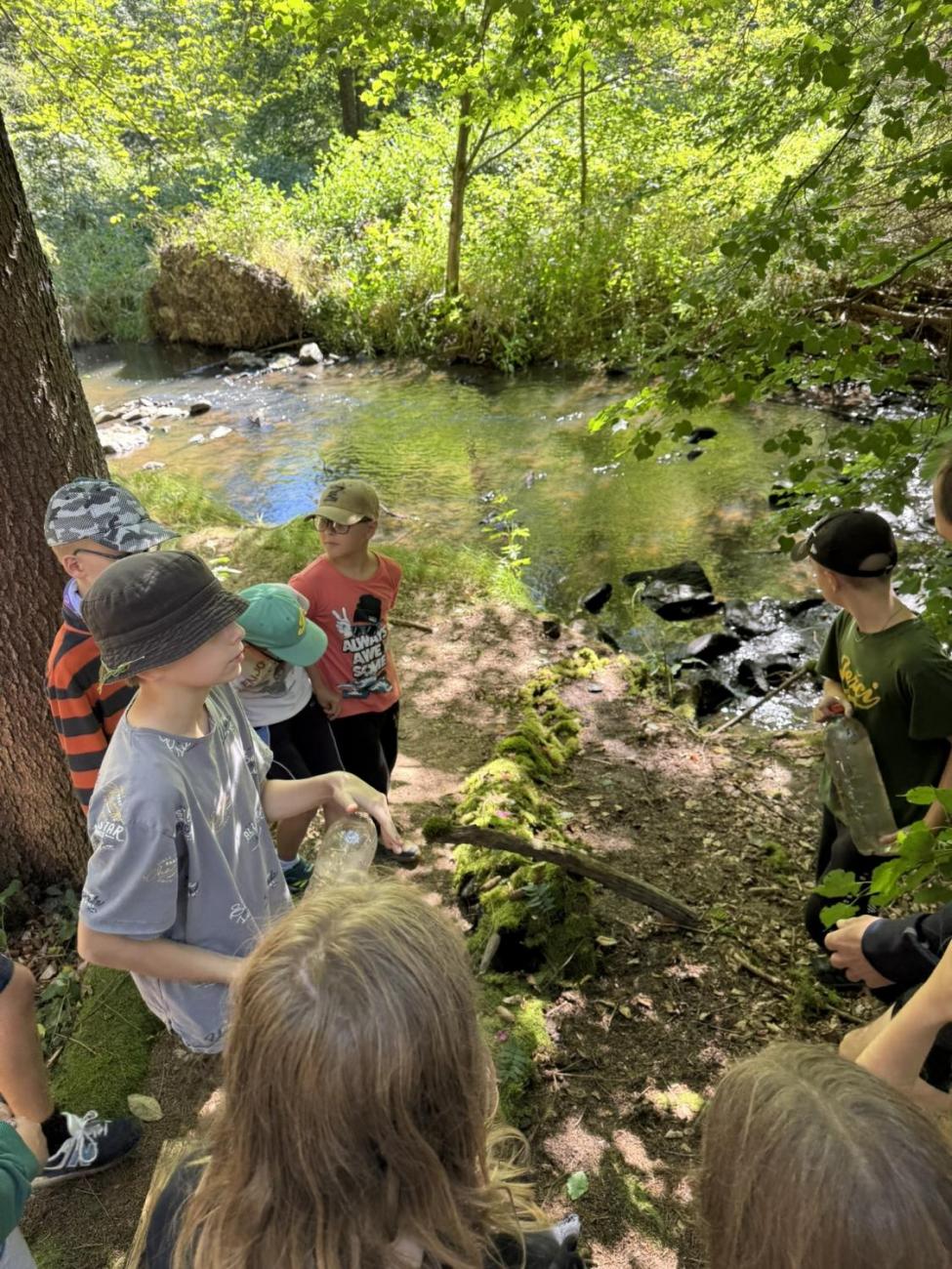 Šesťáci v Zálesí