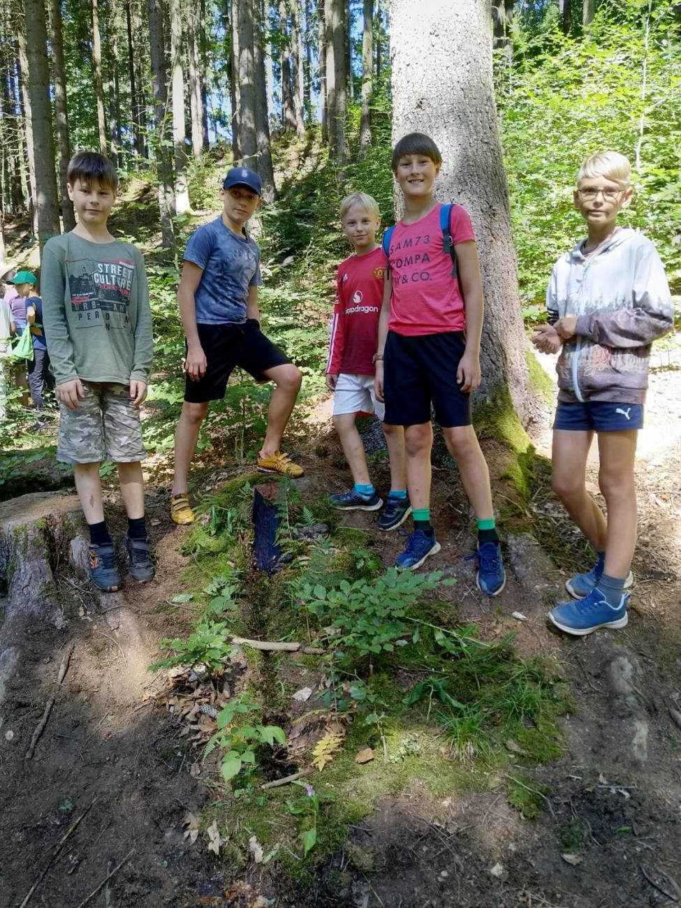 Šesťáci v Zálesí