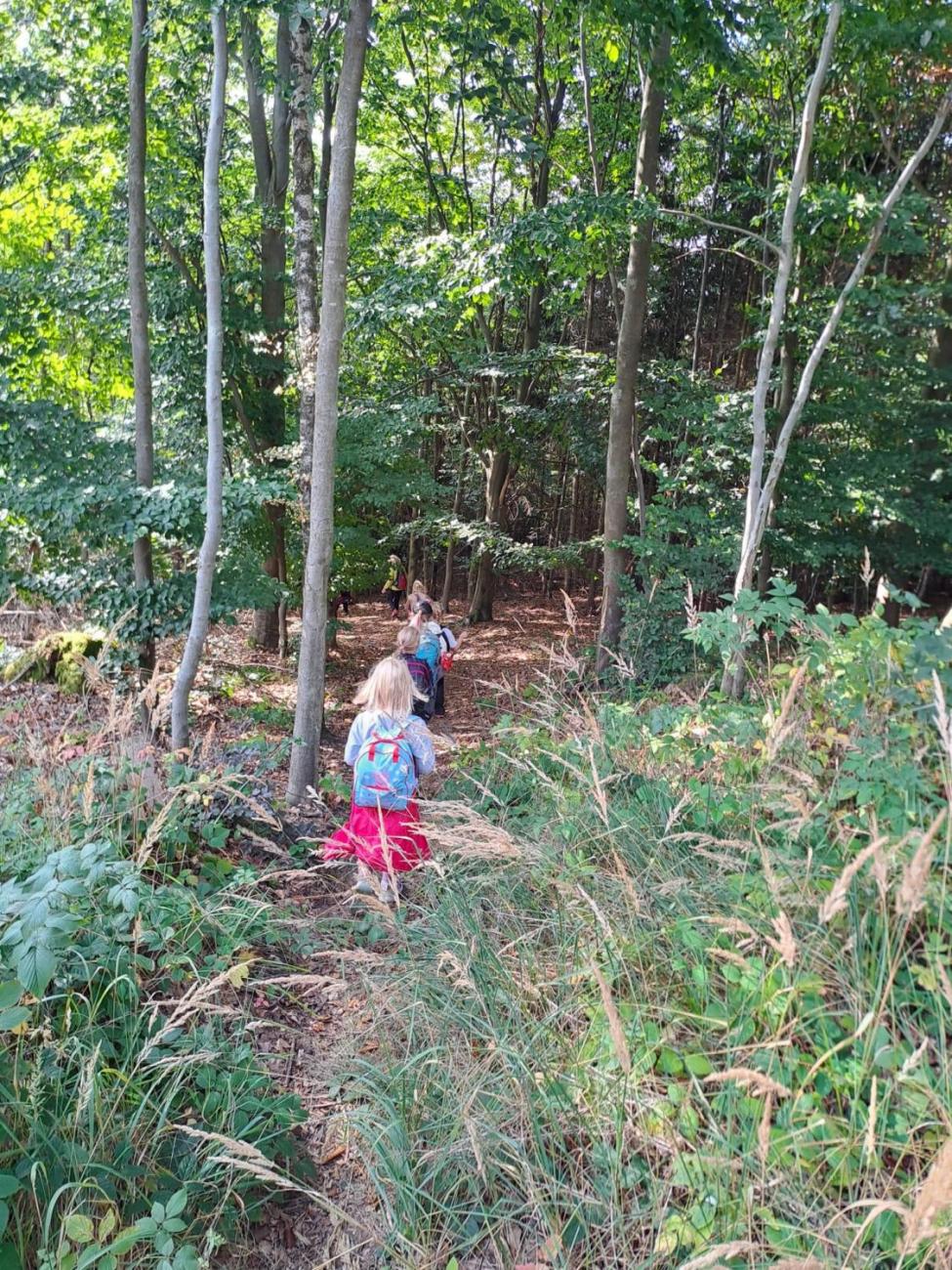 Modré žáby pod Šacberkem  2.C