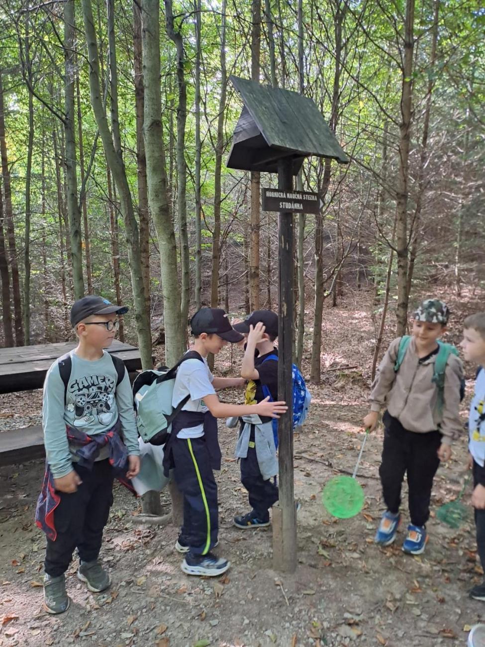 Modré žáby pod Šacberkem  2.C