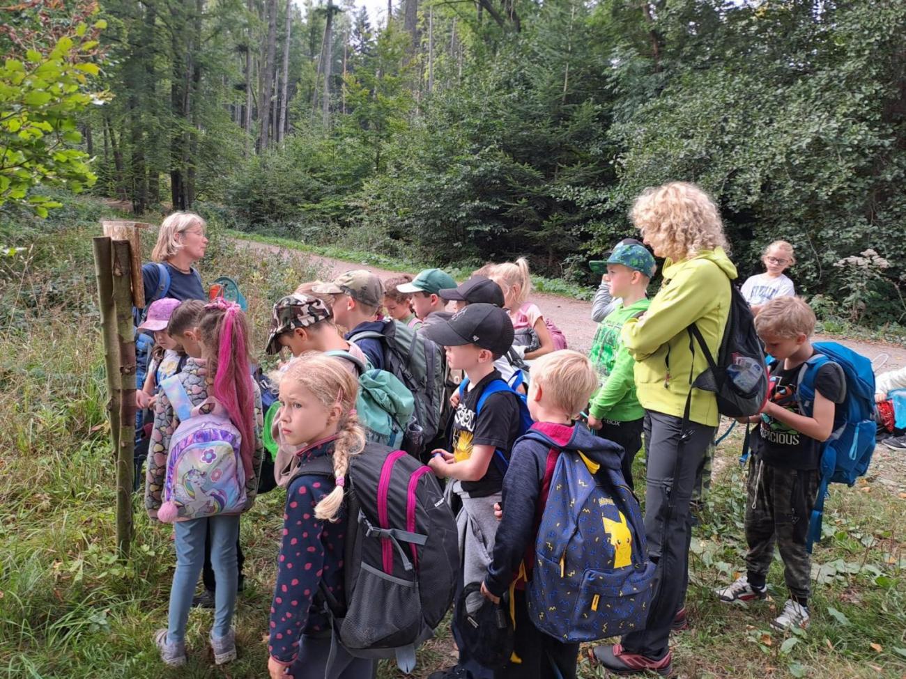 Modré žáby pod Šacberkem  2.C