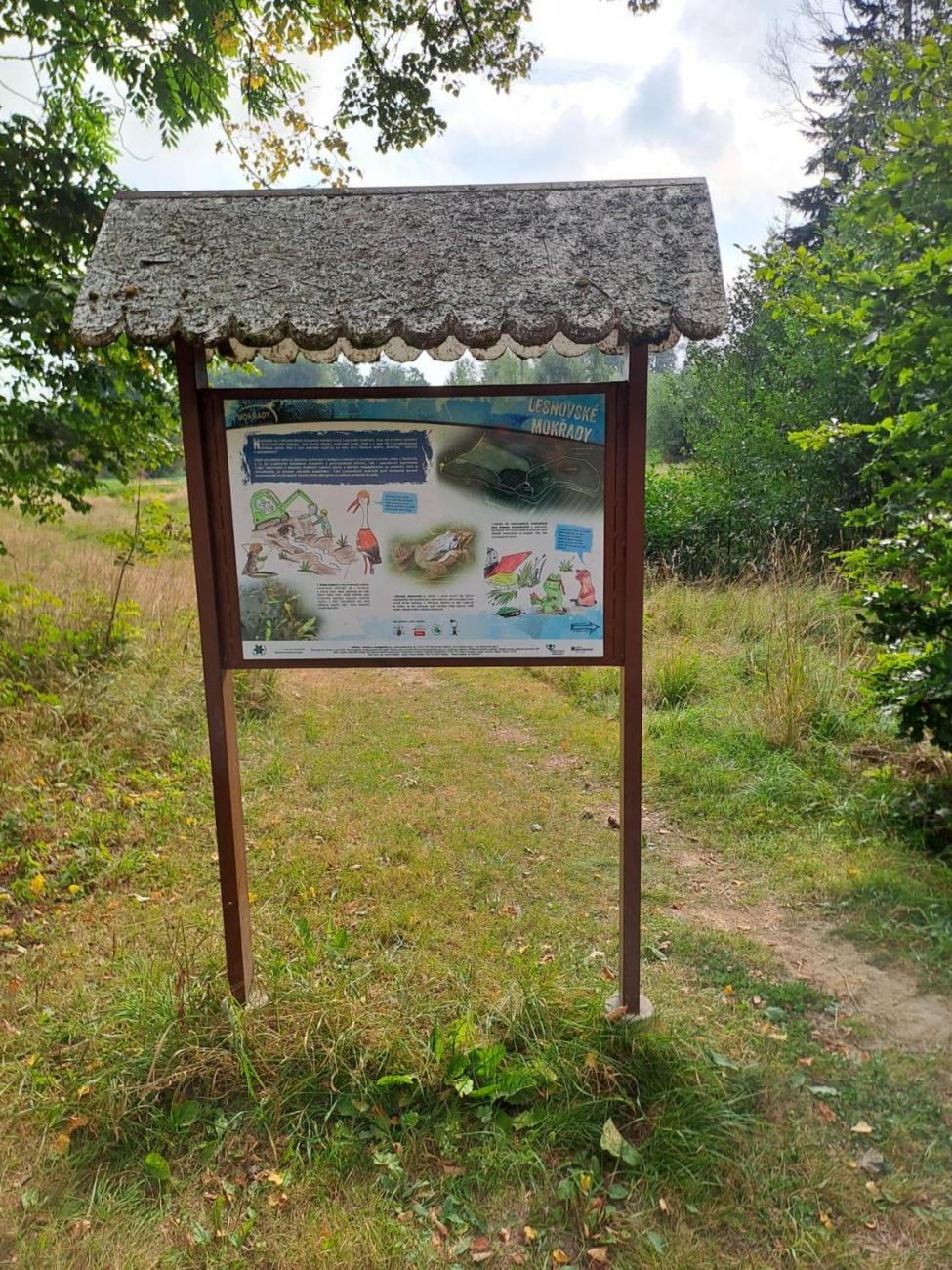 Modré žáby pod Šacberkem  2.C