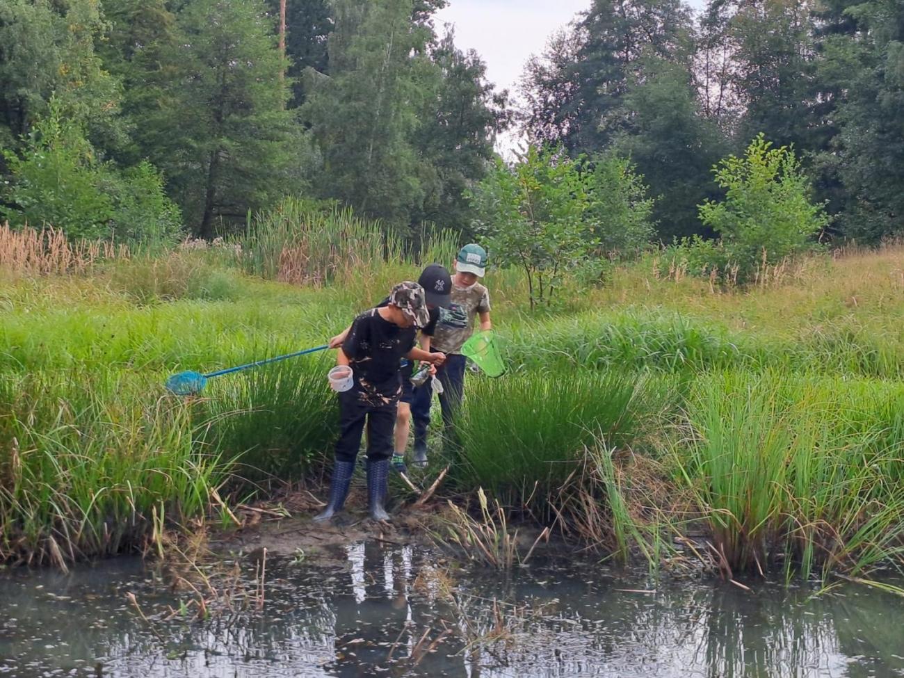 Modré žáby pod Šacberkem  2.C