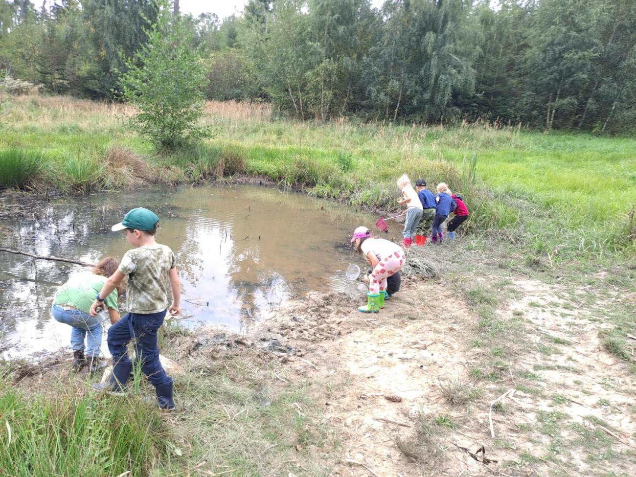 Modré žáby pod Šacberkem  2.C