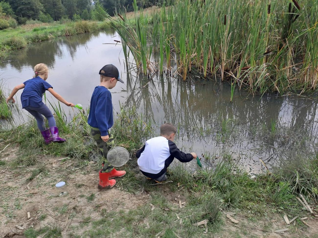 Modré žáby pod Šacberkem  2.C