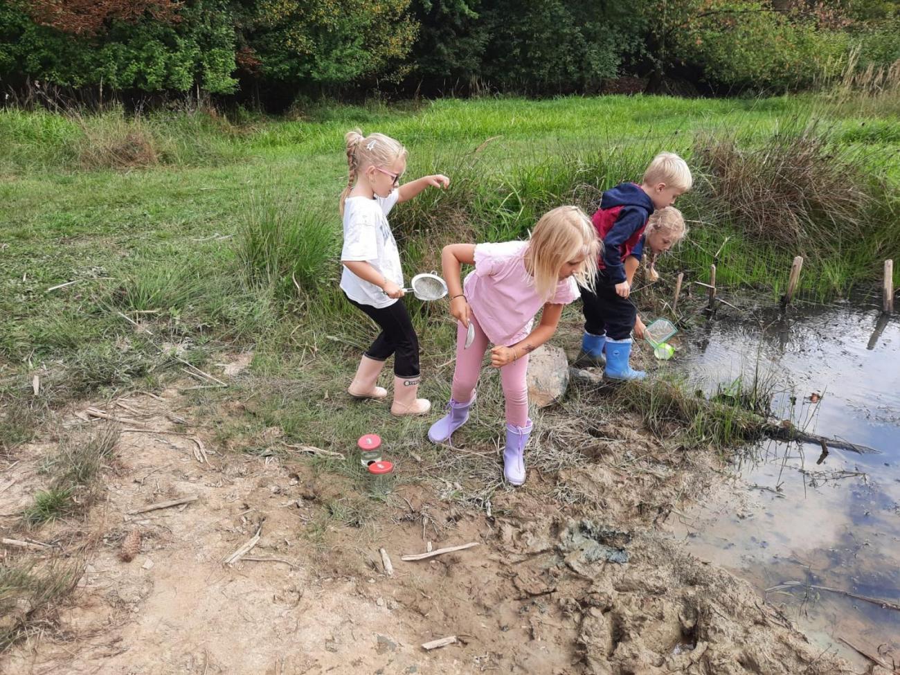 Modré žáby pod Šacberkem  2.C