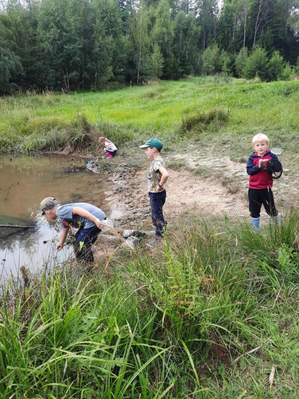 Modré žáby pod Šacberkem  2.C
