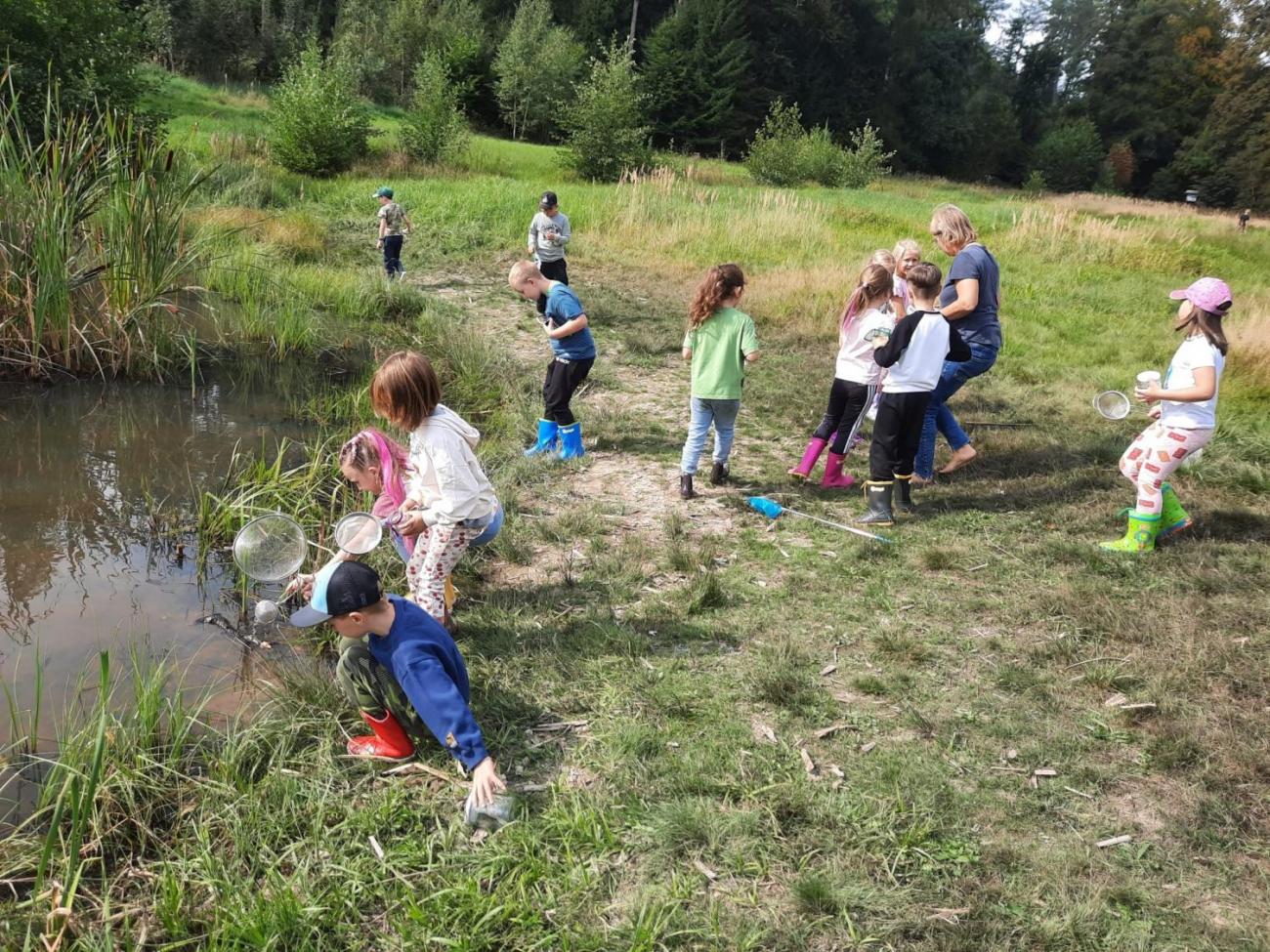 Modré žáby pod Šacberkem  2.C