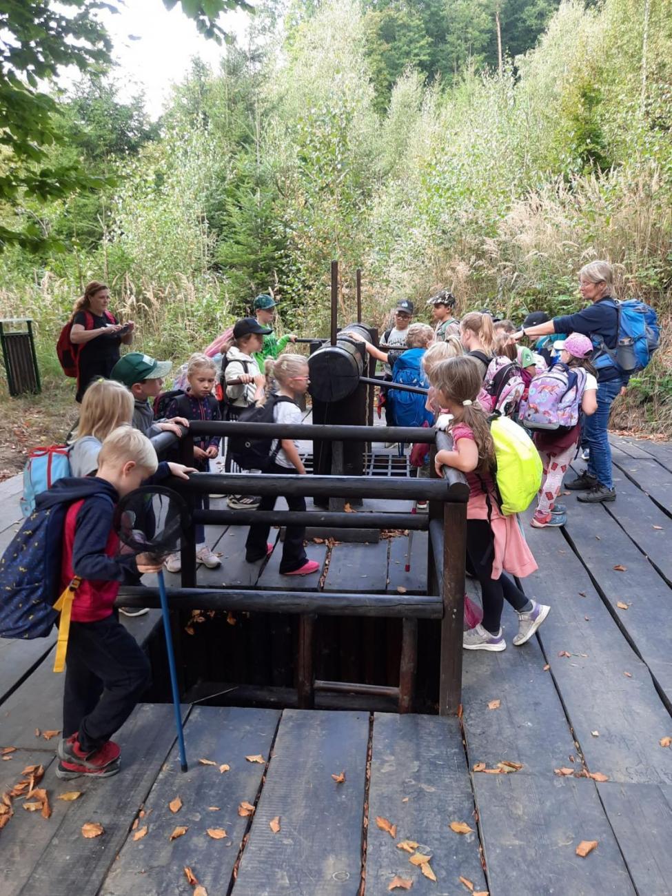 Modré žáby pod Šacberkem  2.C