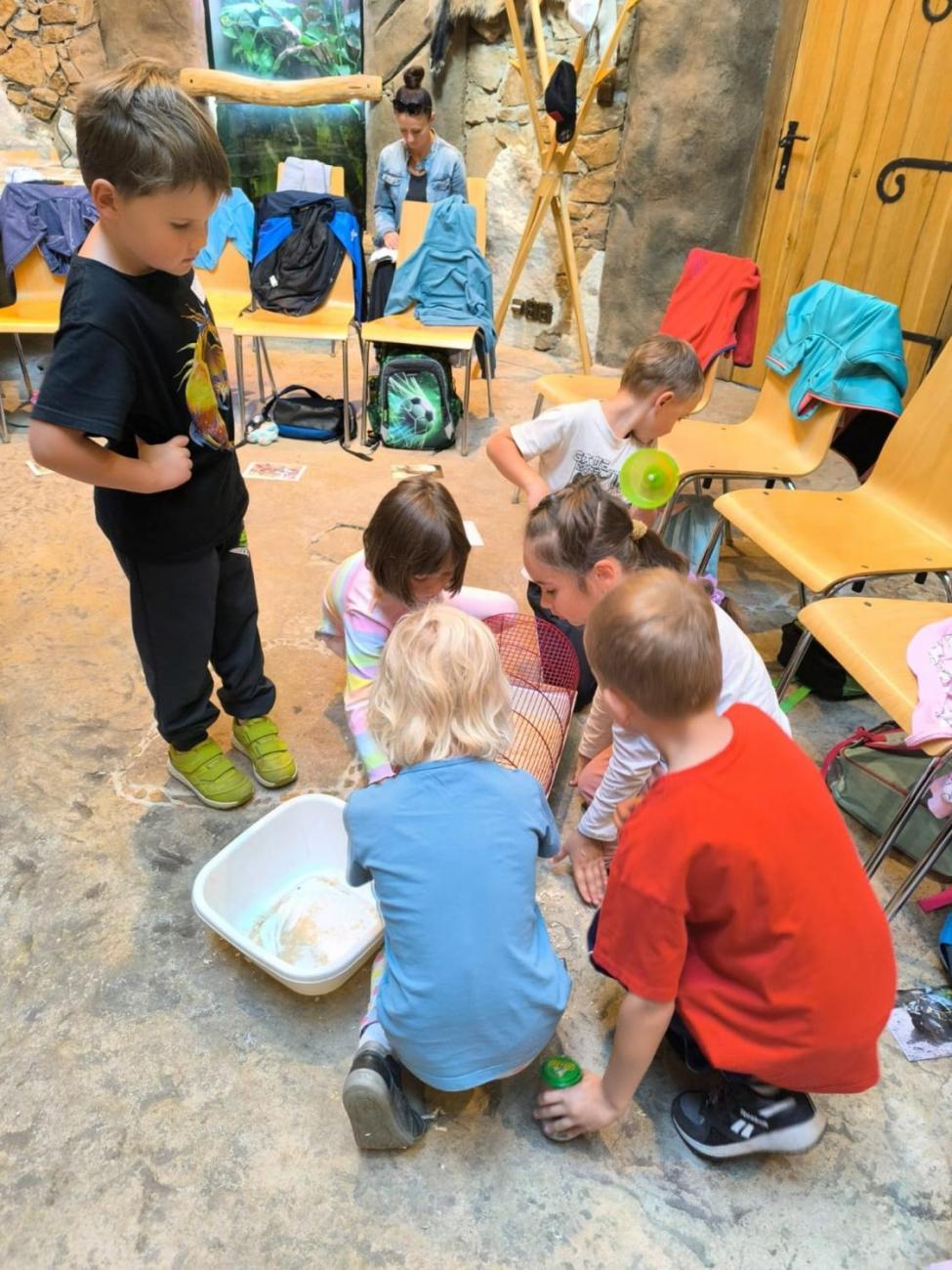 Mazlíčci v ZOO Jihlava  1.A