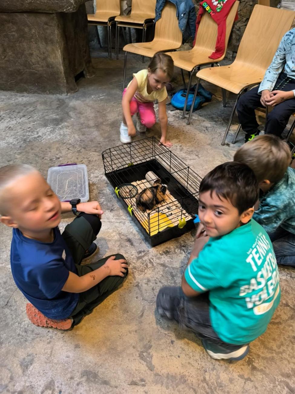 Mazlíčci v ZOO Jihlava  1.A