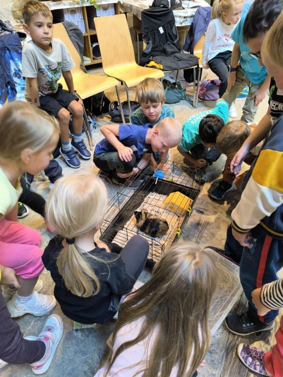 Mazlíčci v ZOO Jihlava  1.A