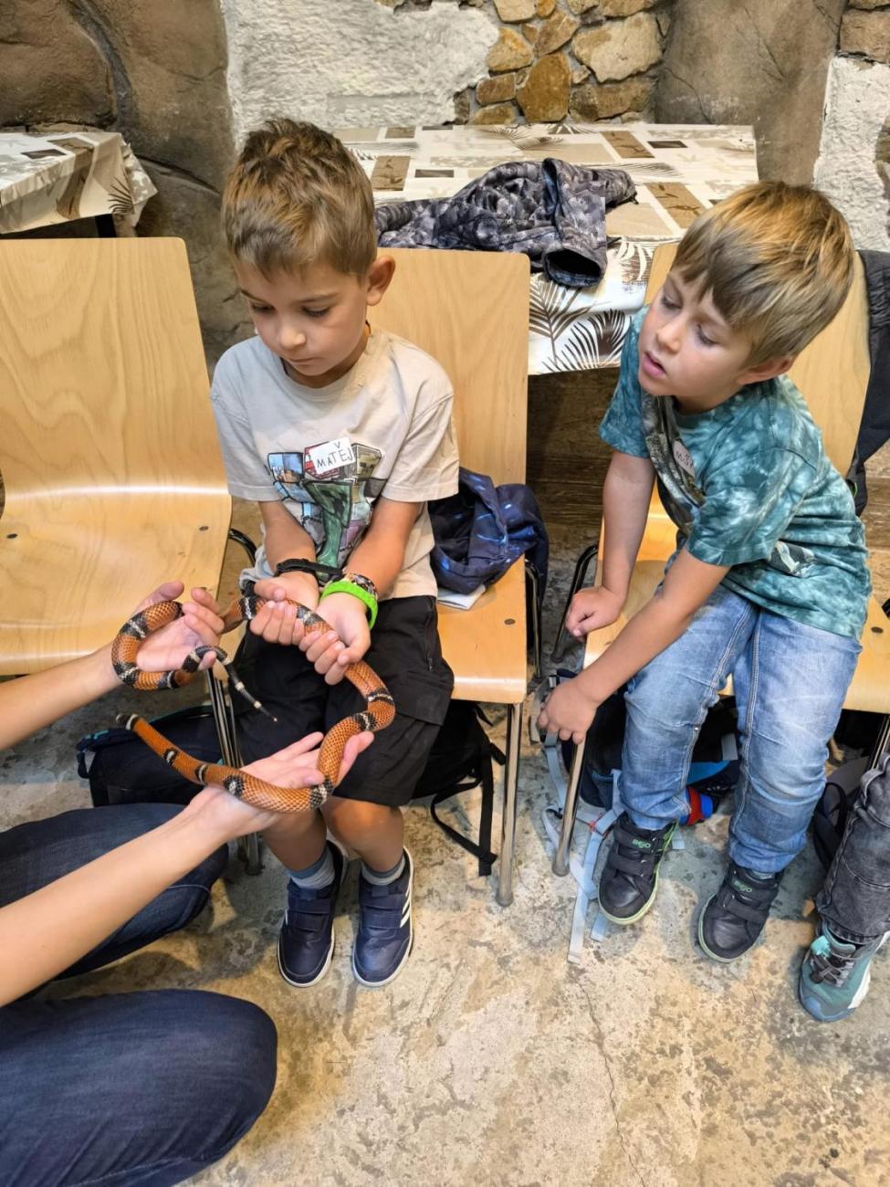 Mazlíčci v ZOO Jihlava  1.A