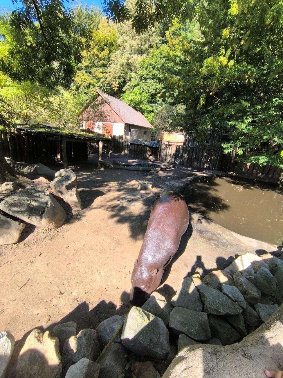 Mazlíčci v ZOO Jihlava  1.A