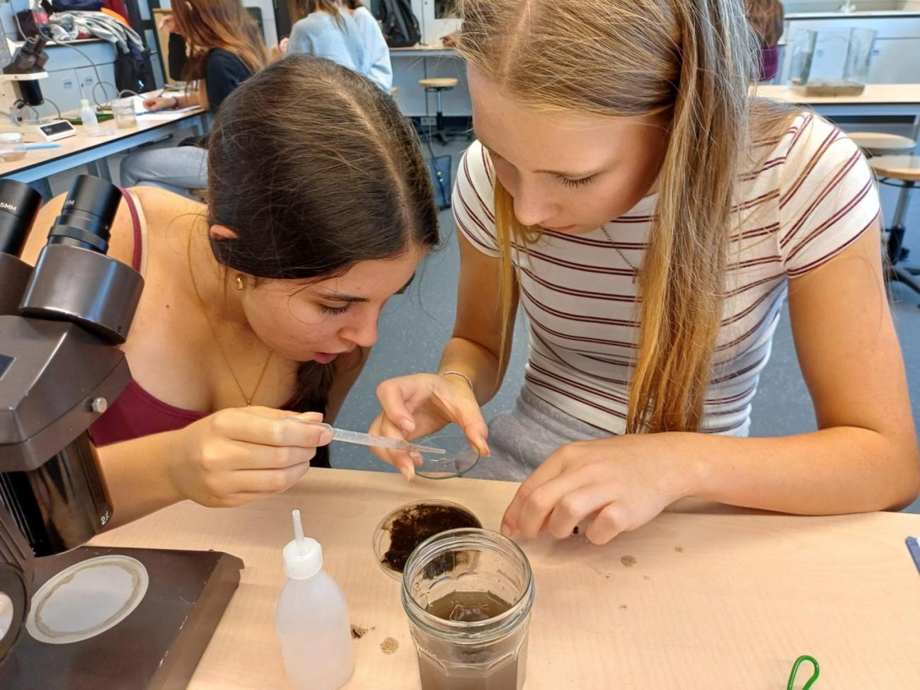 Waterproject 2025 -  Amsterdam