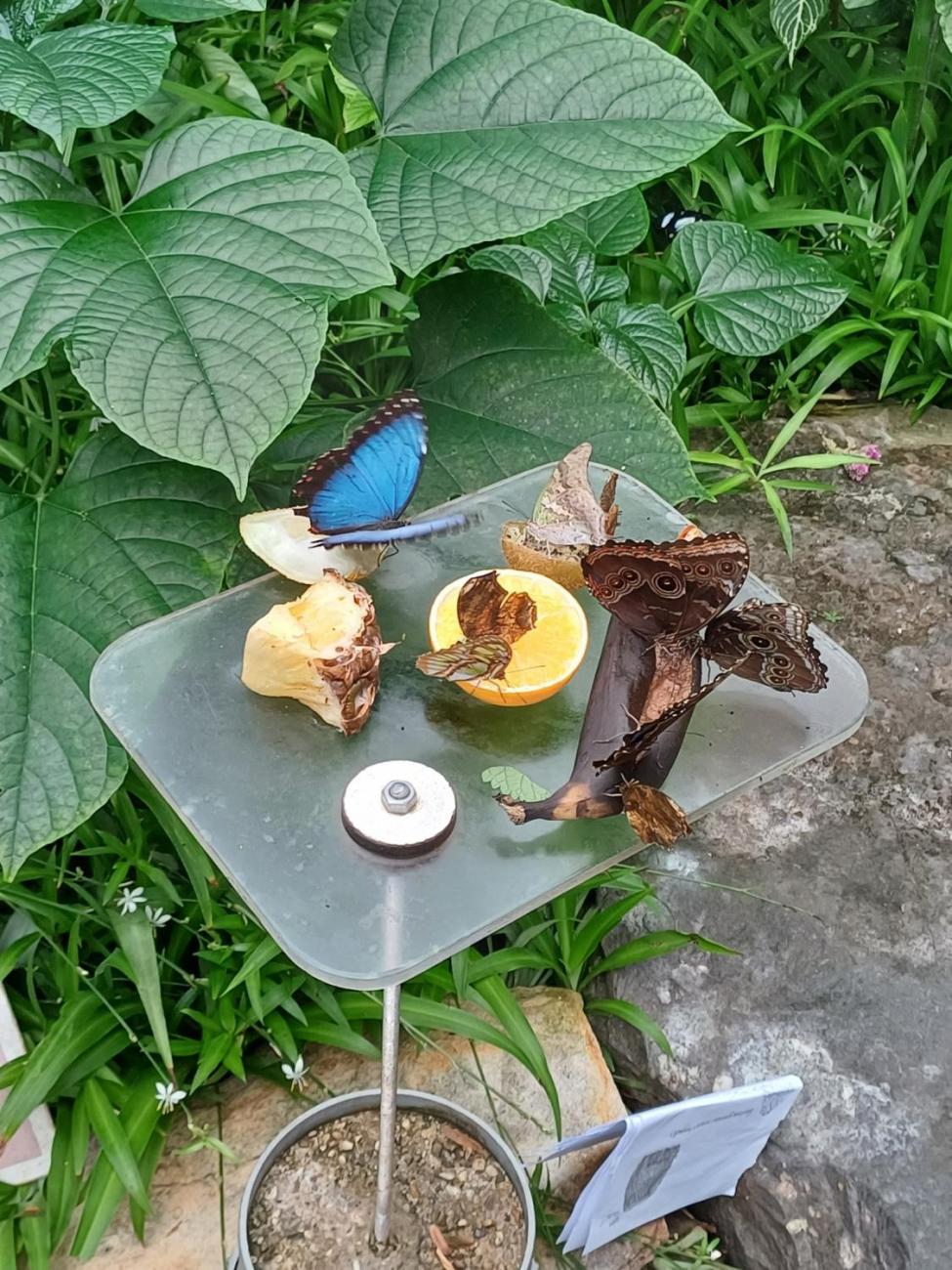 Waterproject 2025 -  Amsterdam