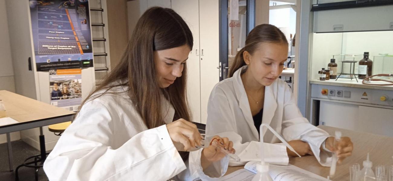 Waterproject 2025 -  Amsterdam