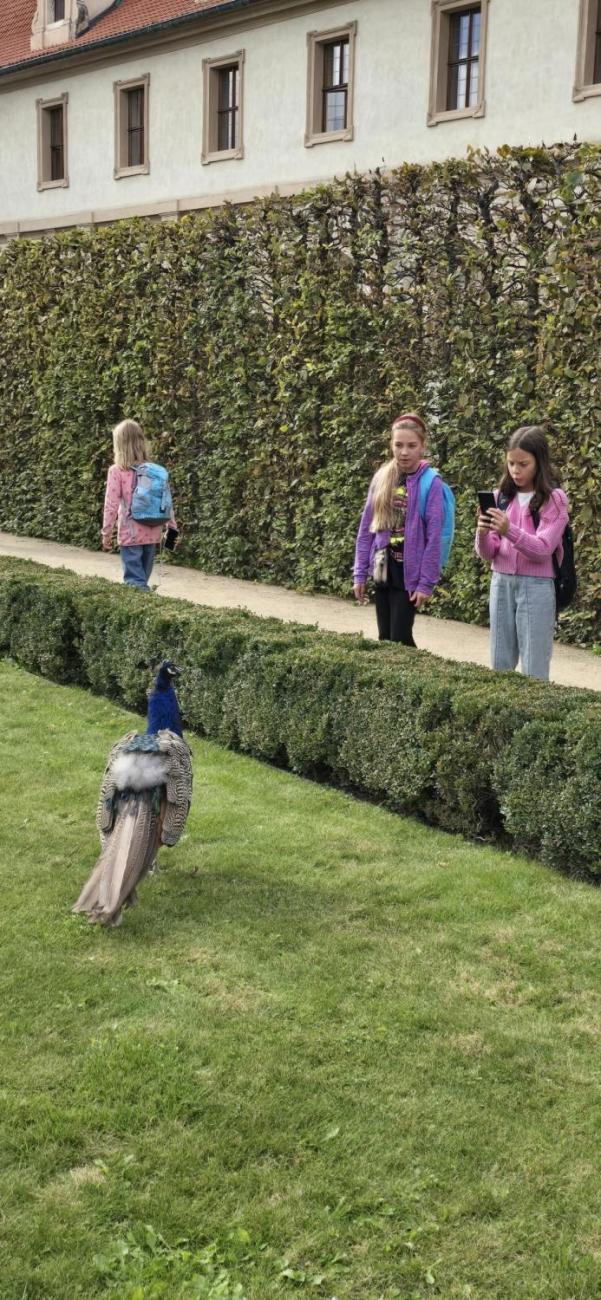 Exkurze do Prahy  5. ročník