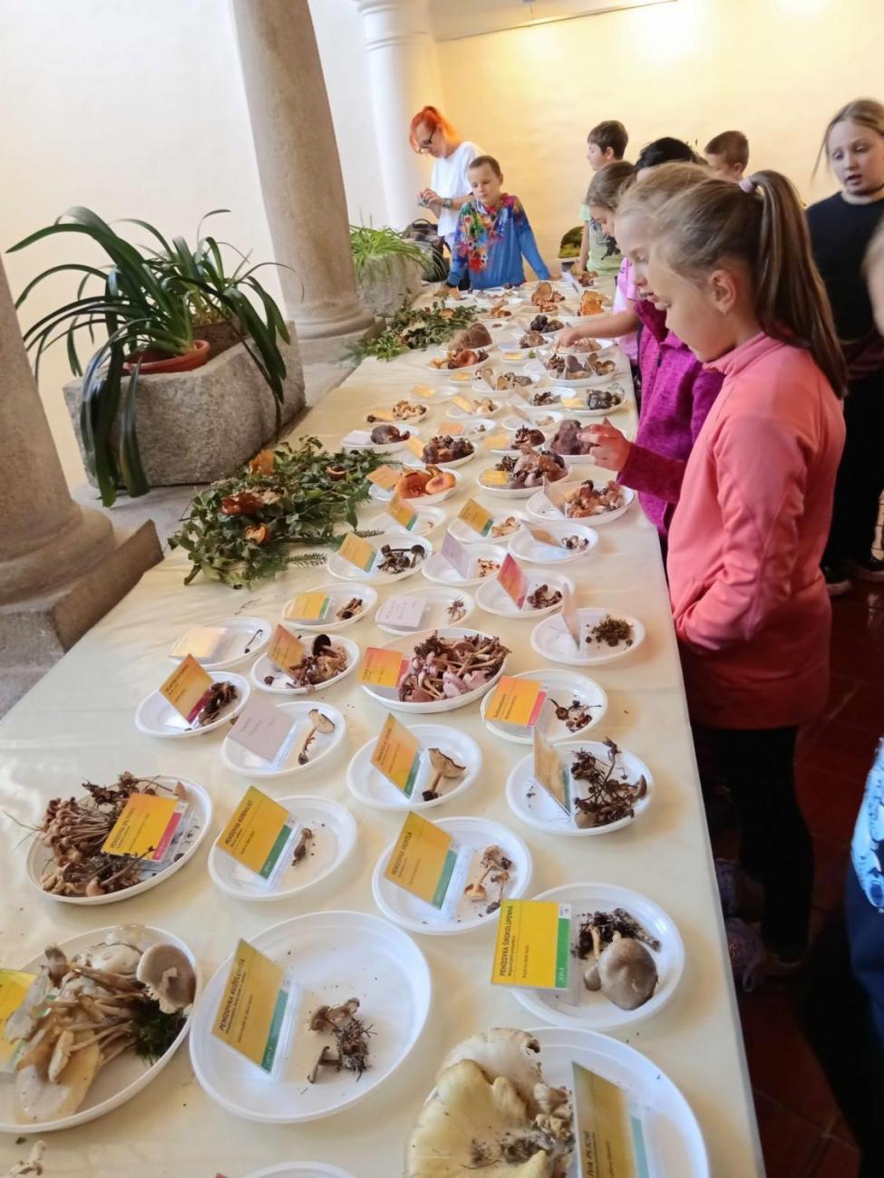 Muzejníkem na zkoušku – návštěva Muzea Vysočiny Jihlava  4.B