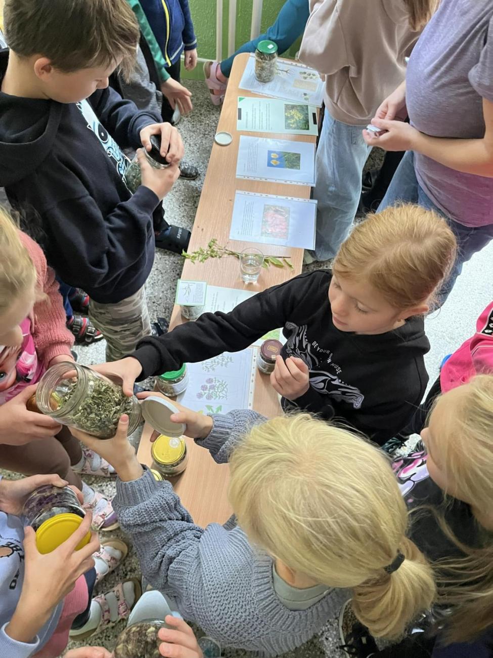 Erasmus+ Slovensko 4.C