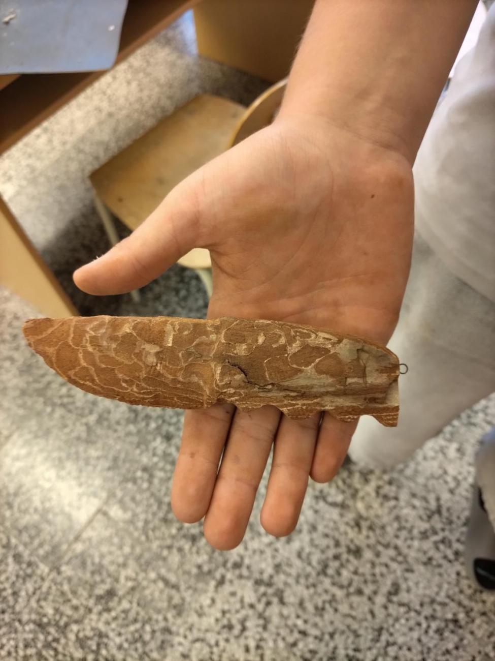 Řežeme, dlabeme, brousíme…