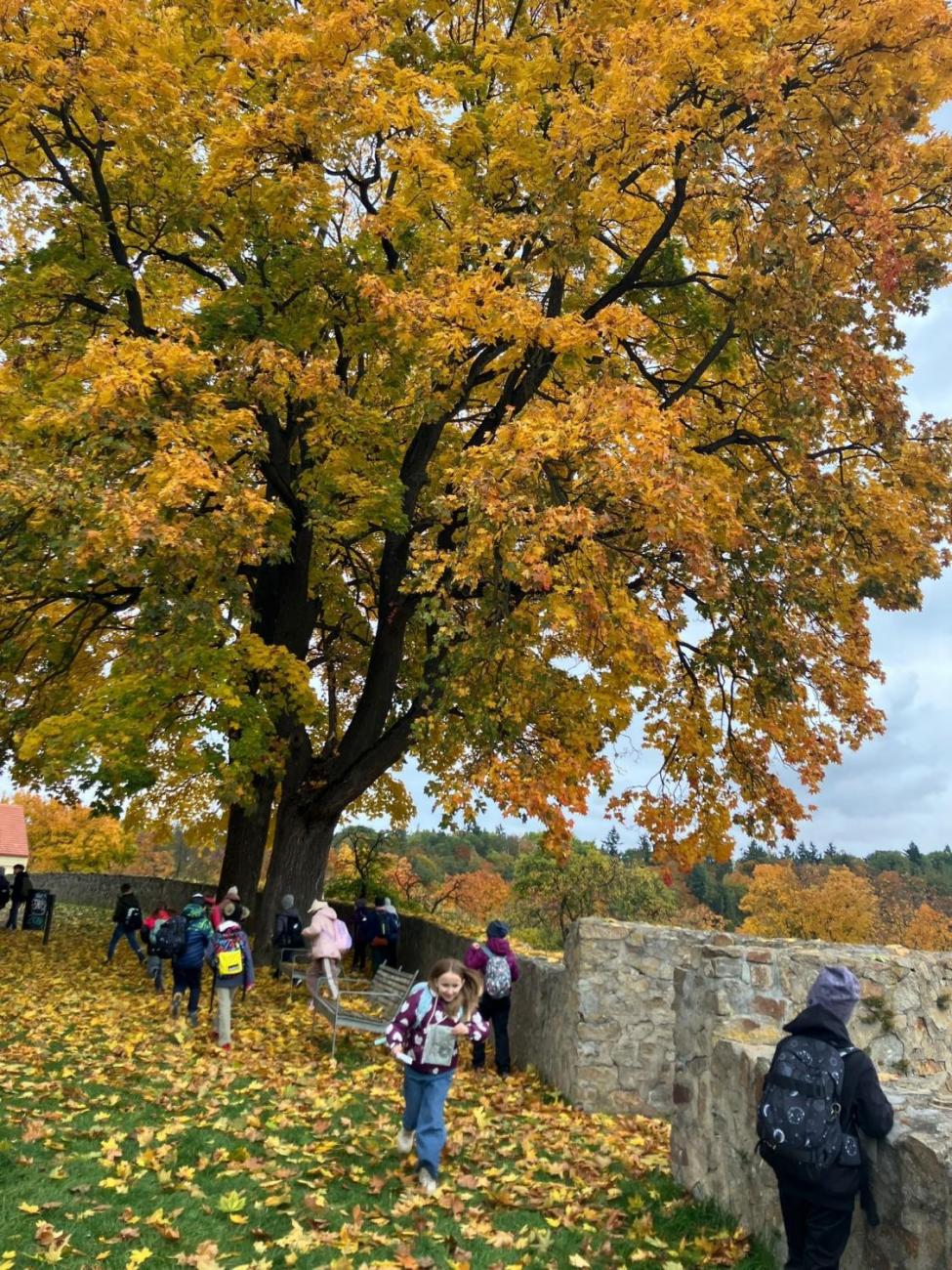 Vycházka „Od brány k bráně“  3.A