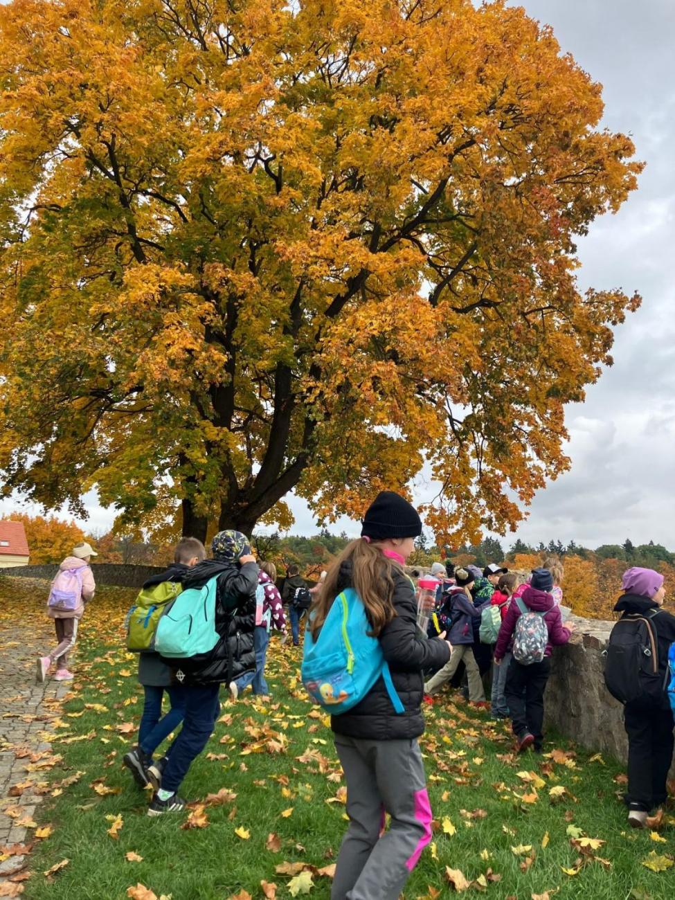 Vycházka „Od brány k bráně“  3.A